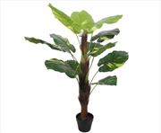 Buy Potted Pothos Plant With Pole 100cm