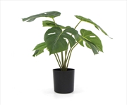 Buy Potted Split Philodendron Plant With Real Touch Leaves 35cm