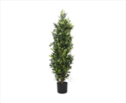 Buy Potted Topiary Tree 120cm UV Resistant