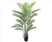 Buy Premareca Palm Tree Real Touch 160cm