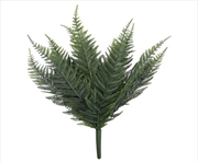 Buy Premaustralian Fern Uv Resistant 60cm