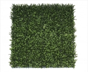 Buy Premnatural Buxus Hedge Panels V Resistant 1m x 1m