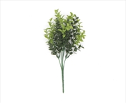 Buy Rounded Boxwood Stem Uv 30cm