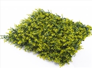 Buy Super Clearance Uv Yellow Buxus Mats 1m x 1m