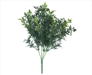 Buy Uv Boxwood Stem 30cm