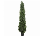 Buy Uv Resistant Cypress Pine Tree 2.1m