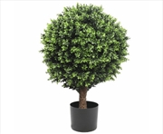 Buy Uv Resistant Topiary Shrub Hedyotis 80cm