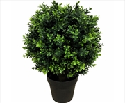 Buy Uv Resistant Topiary Shrub Hedyotis 50cm Mixed Green