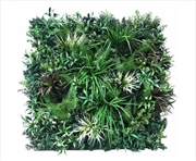 Buy Uv Stabilized Desert Fern Select Range Vertical Garden 90cm X 90cm