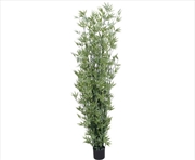 Buy Uv Stabilized Japanese Bamboo