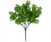 Buy Vivid Green Wide Eucalypts Plant 32cm UV Resistant