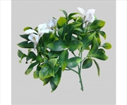 Buy White Flowering Jasmine Stem UV Resistant 30cm