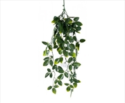 Buy White Mixed Hanging Foliage UV 60cm