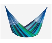 Buy Jumbo Cotton Oceanica Colour Hammock