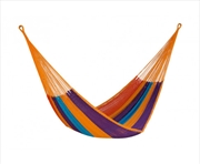 Buy King Cotton Alegra Colour Hammock