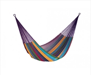 Buy King Cotton Colorina Colour Hammock