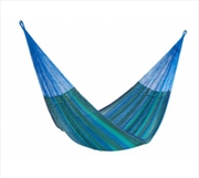 Buy Queen Size Cotton Caribe Colour Hammock