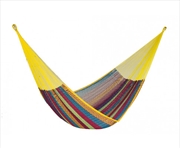 Buy Queen Size Cotton Confeti Colour Hammock