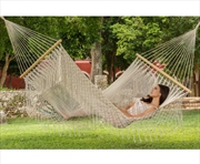 Buy Queen Size Cotton Fringe Cream Colour Hammock