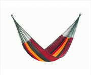 Buy Queen Size Cotton Imperial Colour Hammock