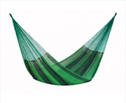 Buy Queen Size Cotton Jardin Colour Hammock