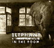 Buy Elephant In The Room