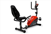 Buy Magnetic Recumbent Exercise Bike