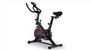 Buy Spin Bike Flywheel - Red