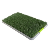 Buy Pet Dog Potty Tray Training Toilet 69cm X 43cm + 1 Grass Mat