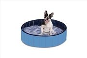 Buy Leak-proof Blue Plain Foldable 160cmx30cm PVC Pet Swimming Pool