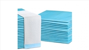 Buy Puppy Dog and Cat Pet Training Pads 200pcs