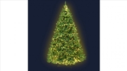 Buy 6ft Christmas Tree 874 LED Lights - Warm White Green