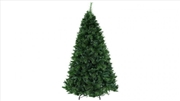 Buy 6ft 1.8m 1024 Tips Christmas Tree Pine