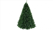 Buy 7ft 2.1m 1584 Tips Christmas Tree Pine