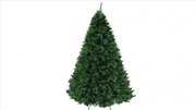 Buy Christmas Tree 2.4M 6ft