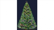 Buy 7FT 2.1m 1221 Tips Christmas Tree LED - Multicolour