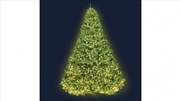 Buy 8ft Christmas Tree 3190 LED Lights - Warm White