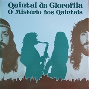 Buy O Misterio Dos Quintais