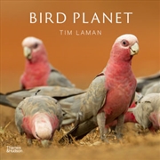 Buy Bird Planet