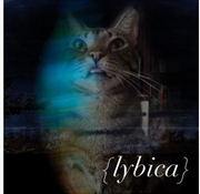 Buy Lybica