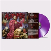 Buy Morbidity Triumphant