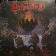 Buy Clandestine