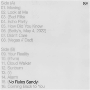 Buy No Rules Sandy