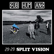 Buy 29:29 Split Vision