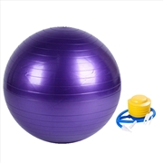 Buy VERPEAK Yoga Ball 85cm (Purple) FT-YB-110-SD / FT-YB-110-ZM