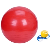 Buy VERPEAK Yoga Ball 55cm (Red) FT-YB-102-SD