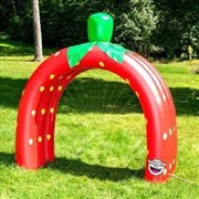 Buy Strawberry Tunnel Sprinkler