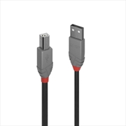 Buy Lindy 2m USB2 A-B Cable Anthra Line