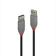 Buy Lindy .5m USB2 A-A, Anthra Line