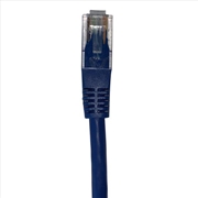 Buy Shintaro Cat6 24 AWG Patch Lead Blue 3m